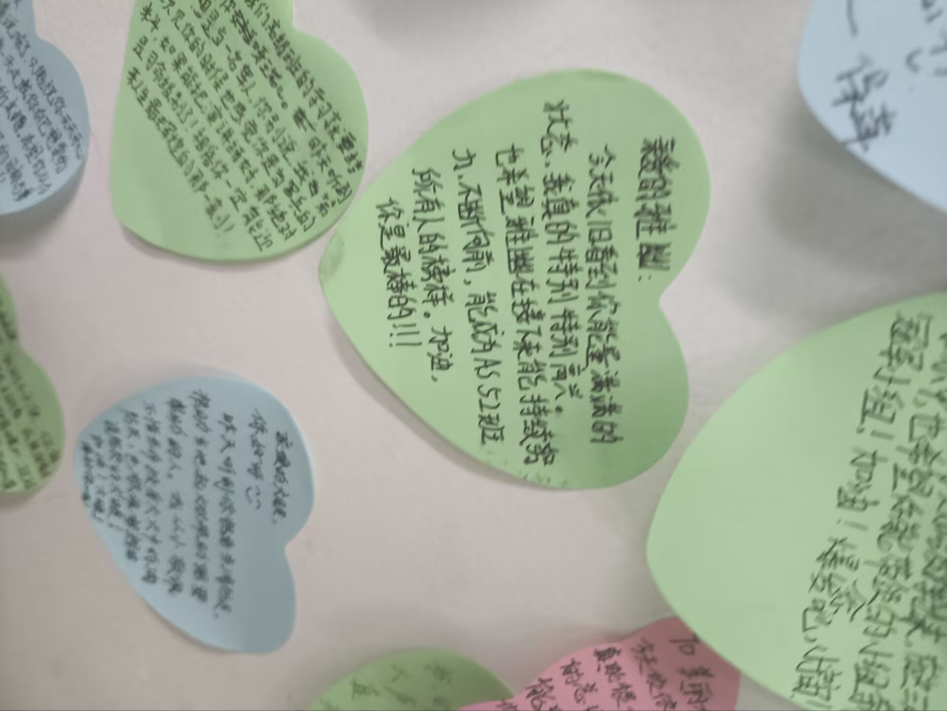 我的生活照片25